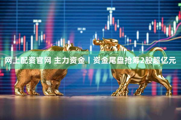 网上配资官网 主力资金丨资金尾盘抢筹2股超亿元