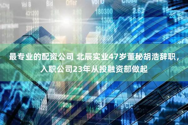 最专业的配资公司 北辰实业47岁董秘胡浩辞职，入职公司23年从投融资部做起