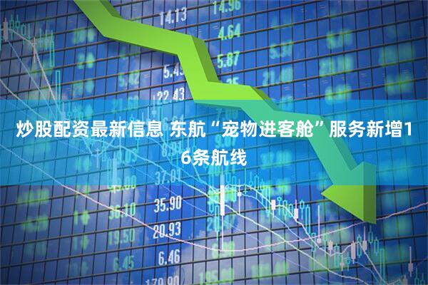 炒股配资最新信息 东航“宠物进客舱”服务新增16条航线